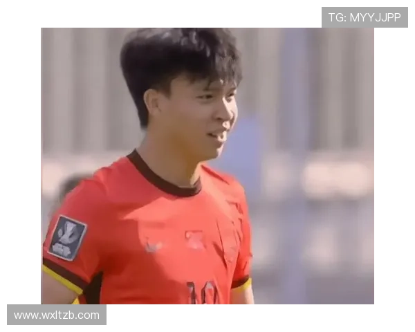 越南队伤病名单更新，主力球员缺席对备战状态影响明显