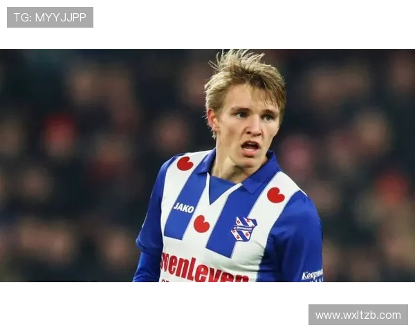 厄德高早期发展受阻原因分析