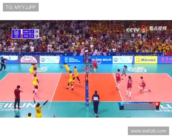 篮球中的界外球规则解析：这五种情况必须出界重新发球